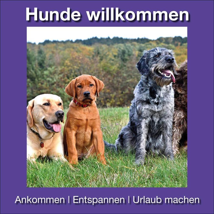 Ferienwohnung Beckendorf Losheim Exteriér fotografie